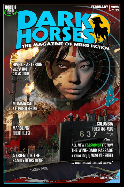 Boek Dark Horses Robert Helfst