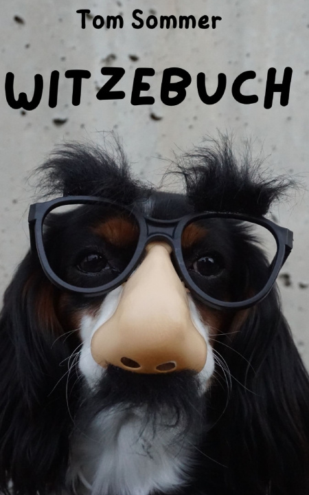Kniha Witzebuch Tom Sommer