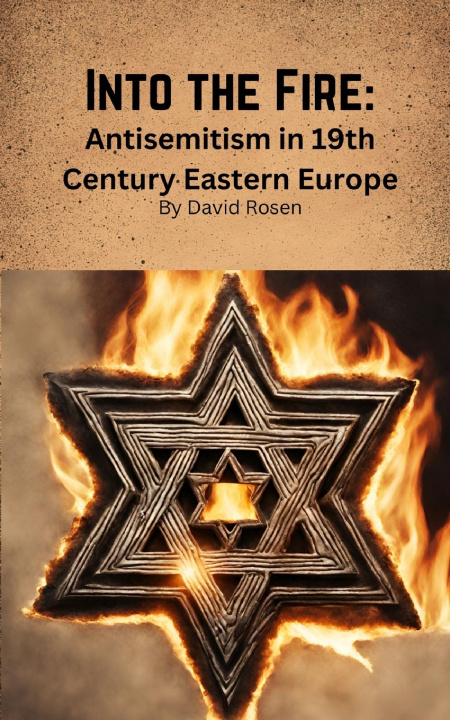Kniha Into the Fire David Rosen
