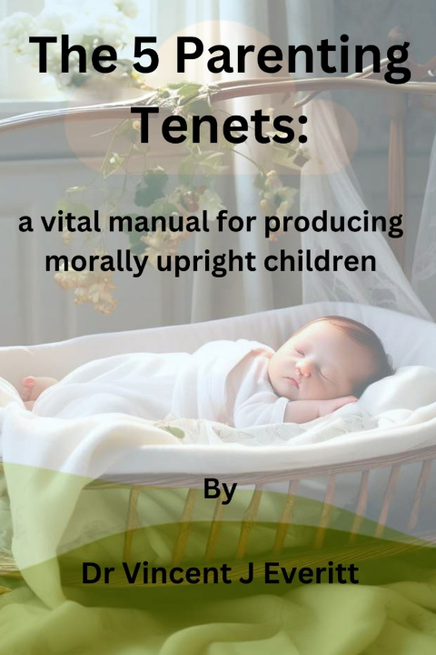 Kniha The 5 Parenting Tenets Vincent J. Everitt