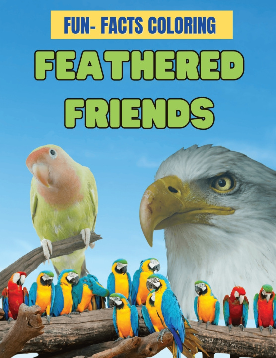 Książka Feathered Friends VIVID LLC