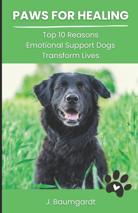 Książka Paws for Healing J. Baumgardt