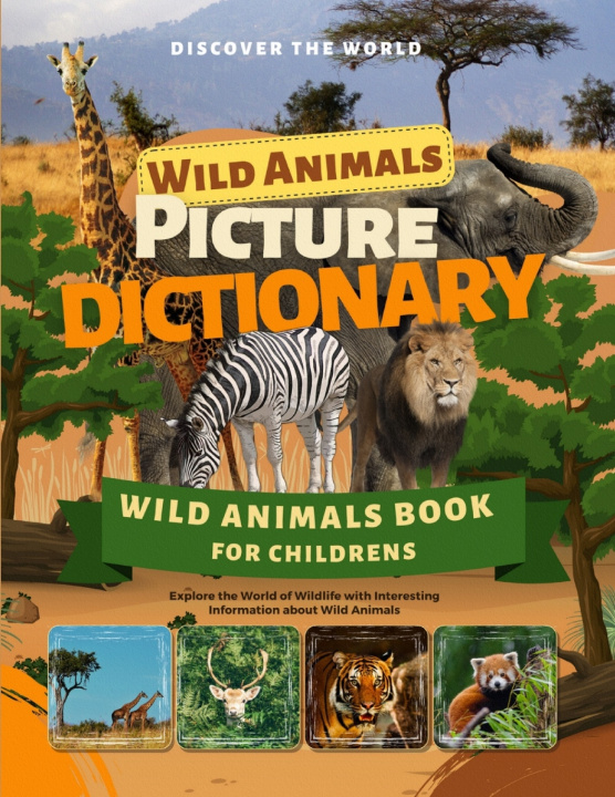 Kniha Picture Dictionary Magic Brushstrokes