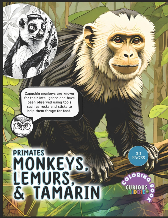 Kniha Primates Curious Kiddie