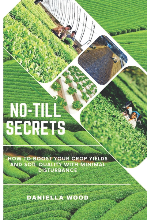Książka NO-TILL SECRETS Daniella Wood
