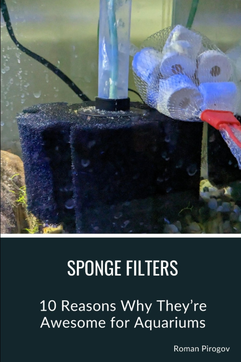 Kniha Sponge Filters Roman Pirogov