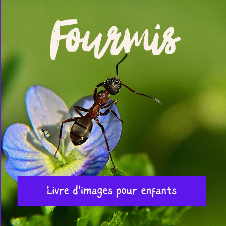 Kniha Fourmis Tristan Berria