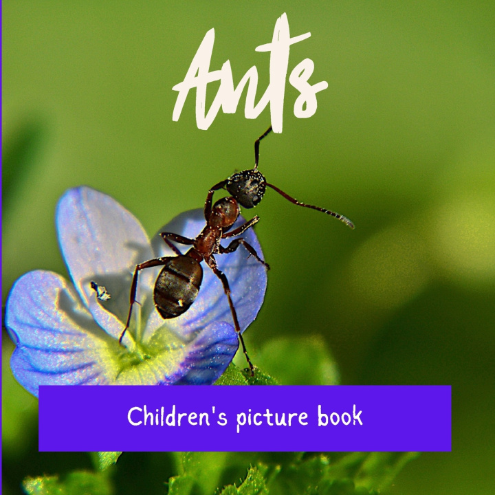 Kniha Ants Olivier Pernaut