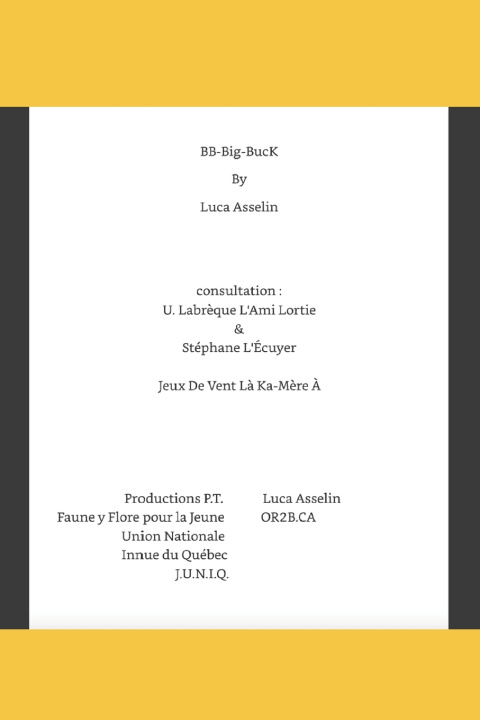 Kniha BBBigBucK Luca Asselin
