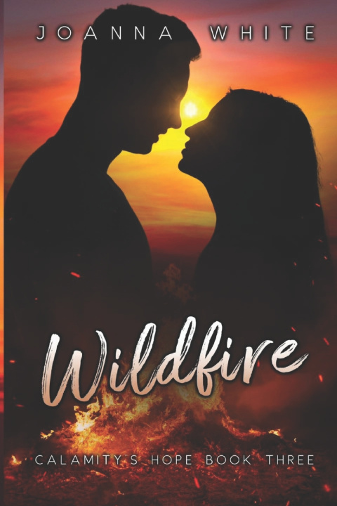Kniha Wildfire Joanna White
