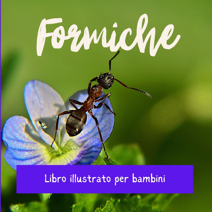 Kniha Formiche Basile Cuesta