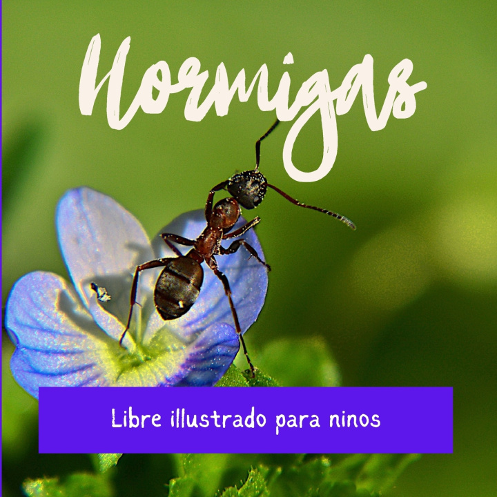 Kniha Hormigas Léon Pascalli