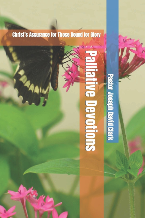 Kniha Palliative Devotions Pastor Joseph David Clark