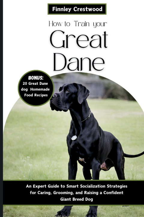 Kniha How to Train Your Great Dane Finnley Crestwood