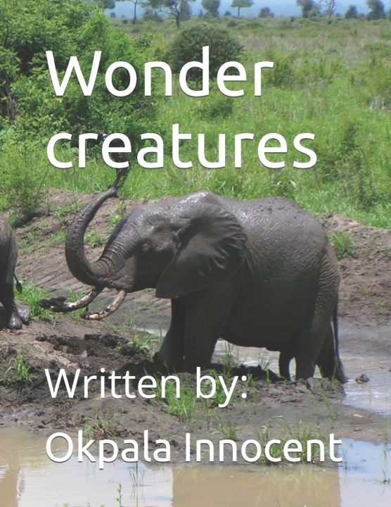 Książka Wonder creatures Uche Okpala