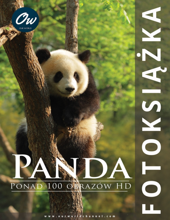 Kniha Panda A Arelt