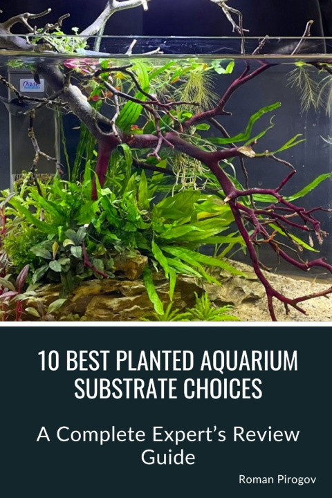 Książka 10 Best Planted Aquarium Substrate Choices Roman Pirogov