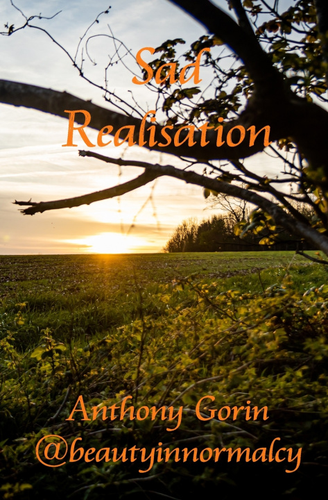 Książka Sad Realisation Anthony Gorin