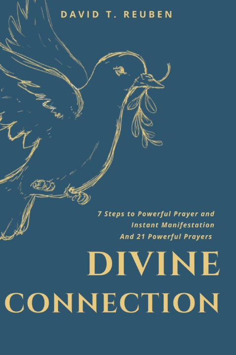 Kniha Divine Connection David T. Reuben
