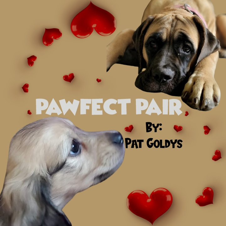 Kniha Pawfect Pair Pat Goldys
