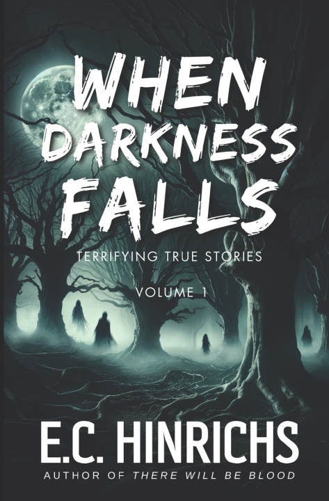 Knjiga When Darkness Falls E.C. Hinrichs