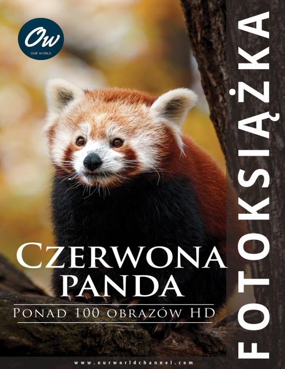 Książka Czerwona panda A Arelt