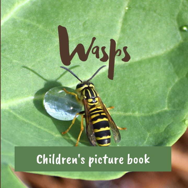 Kniha Wasps Luca Champirol