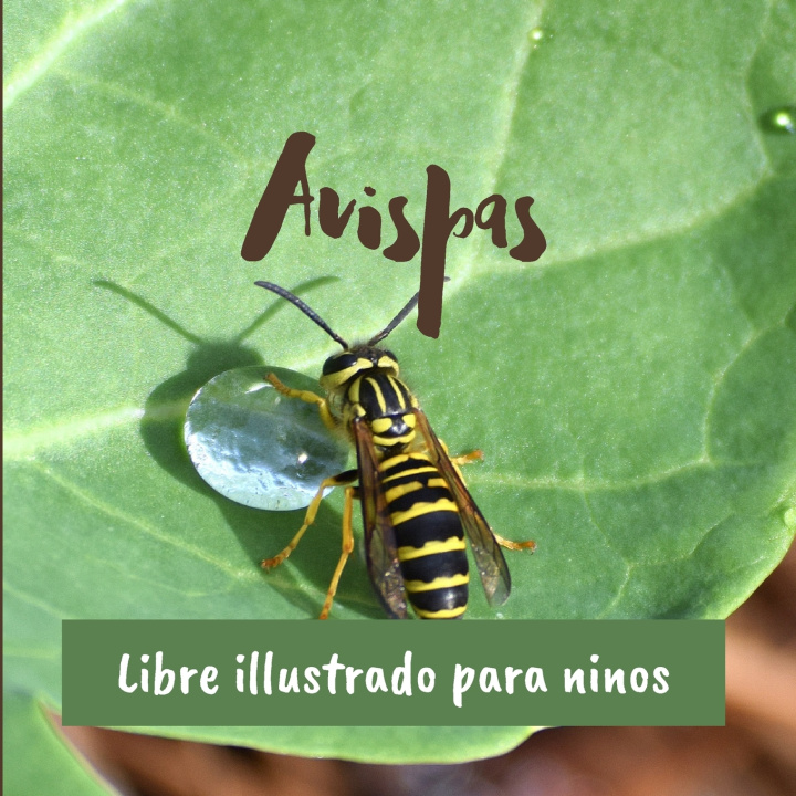 Knjiga Avispas Victor Cholet