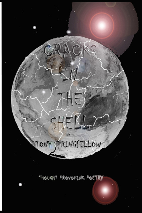 Kniha Cracks in The Shell Tony Stringfellow
