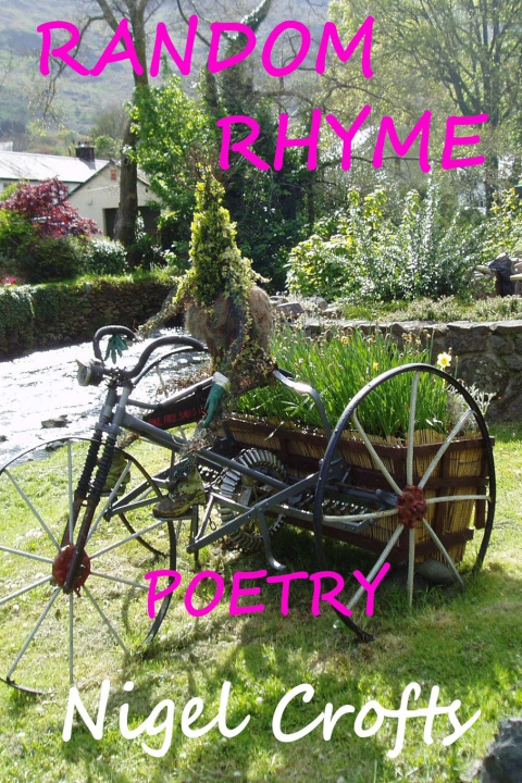 Kniha Random Rhyme Nigel Crofts