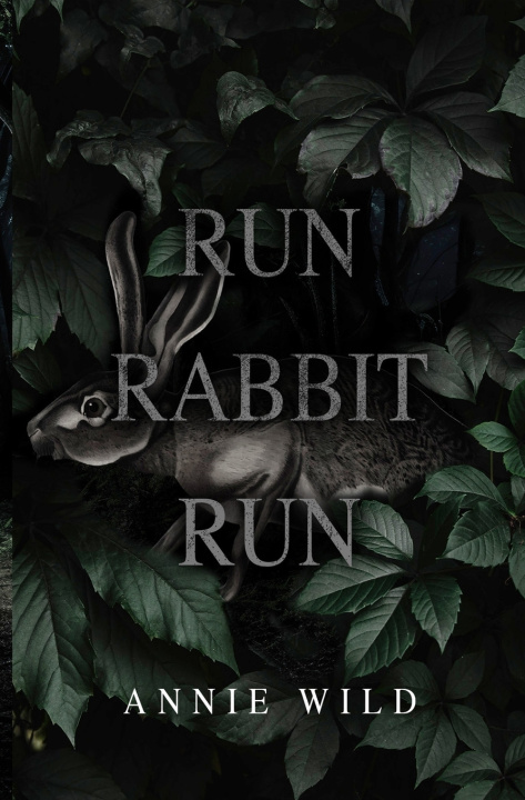 Kniha Run Rabbit Run Annie Wild