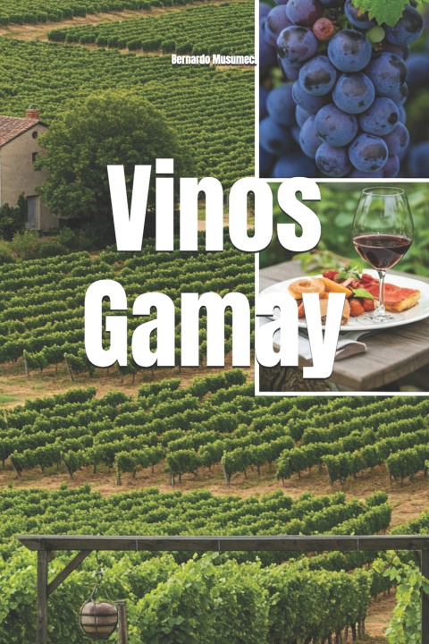 Książka Vinos Gamay Bernardo Musumeci