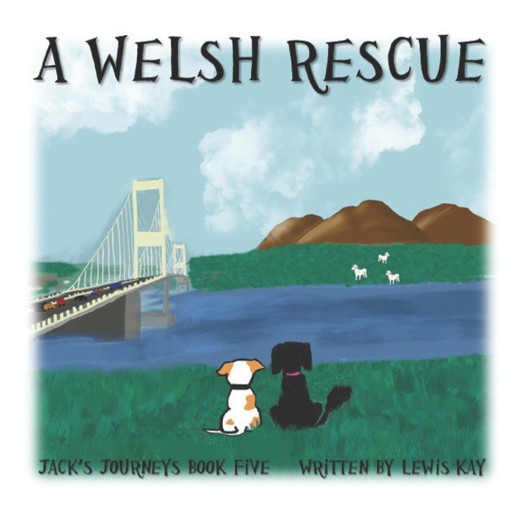 Kniha A Welsh Rescue Lewis Kay