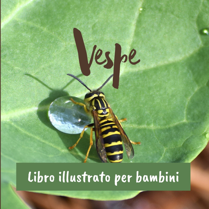 Kniha Vespe Nelson Cuevati