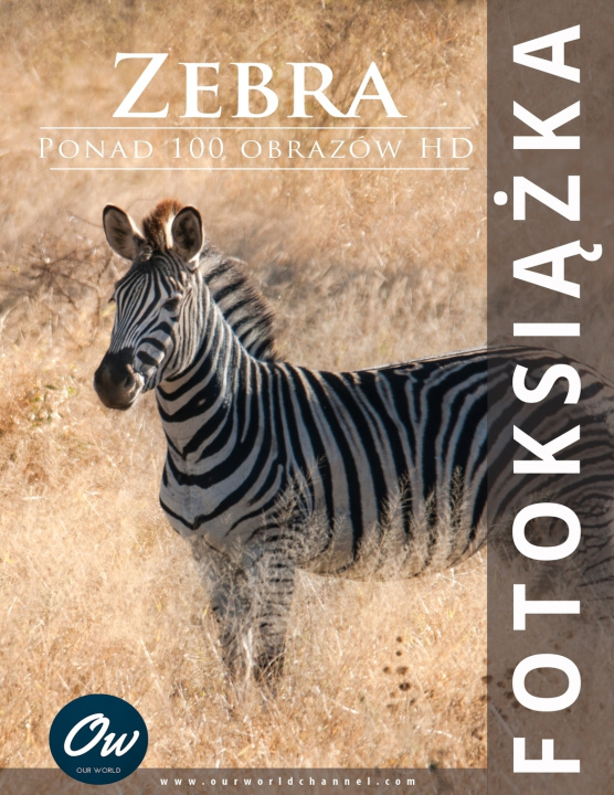 Kniha Zebra A Arelt