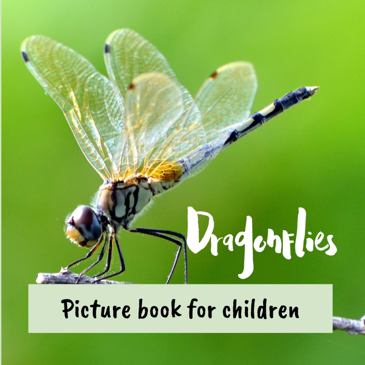 Książka Dragonflies Magali Loana
