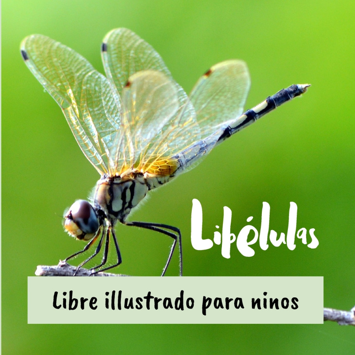 Kniha Libélulas Geraldo Livola