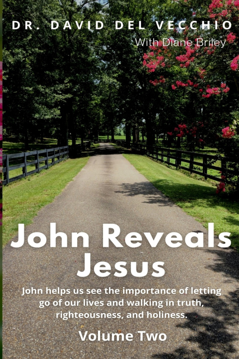 Książka John Reveals Jesus David DelVecchio