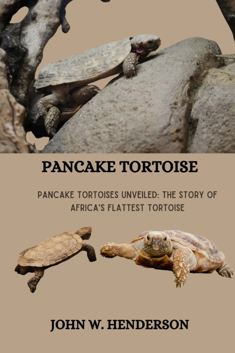 Książka PANCAKE TORTOISE JOHN W. HENDERSON
