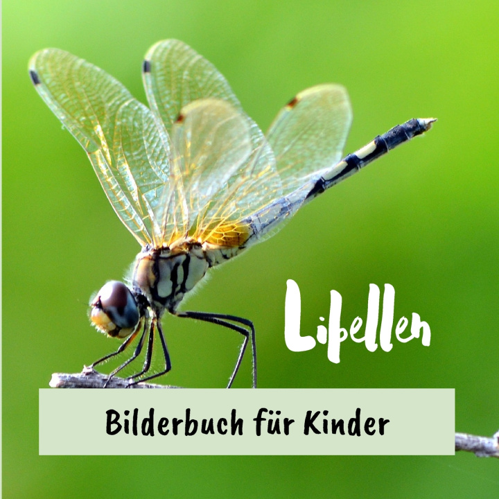 Kniha Libellen Benoit Panville