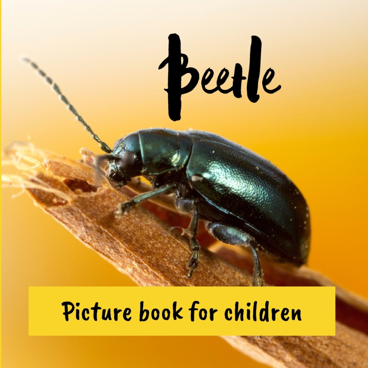 Kniha Beetle Antony Douche