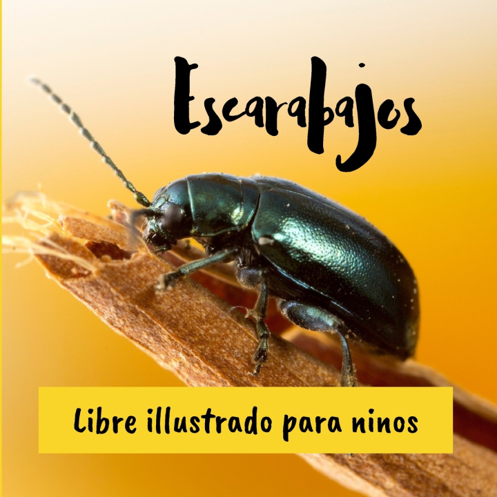 Knjiga Escarabajos Paulo Manuela