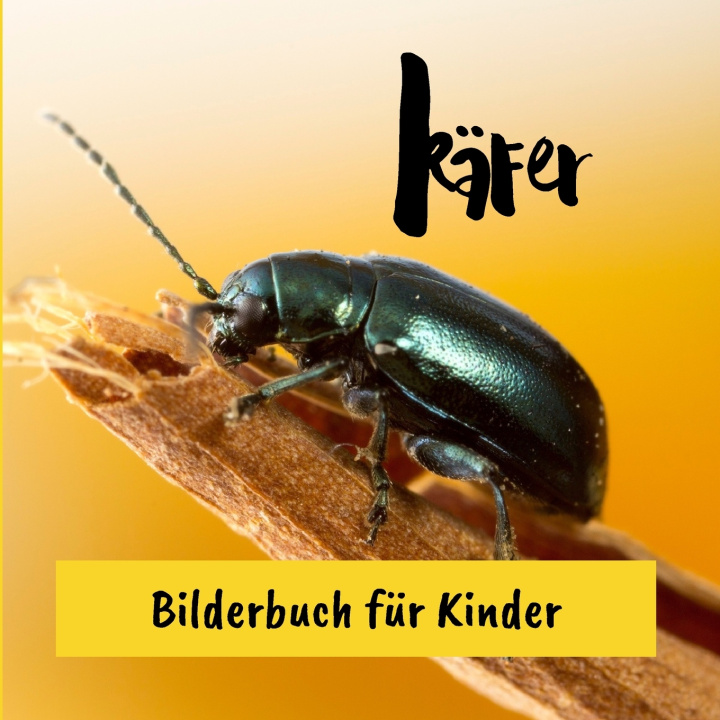Kniha Käfer Toni Rostick