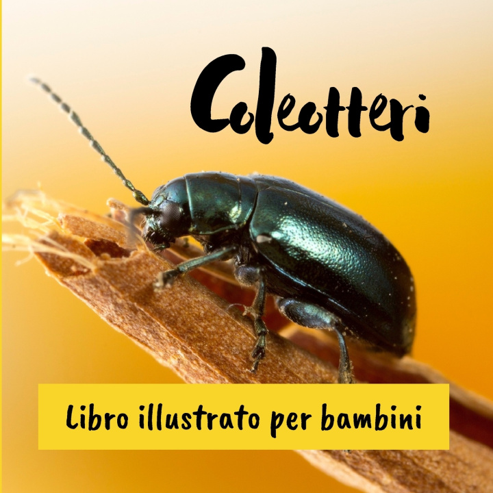Kniha Coleotteri Marion Ballocci