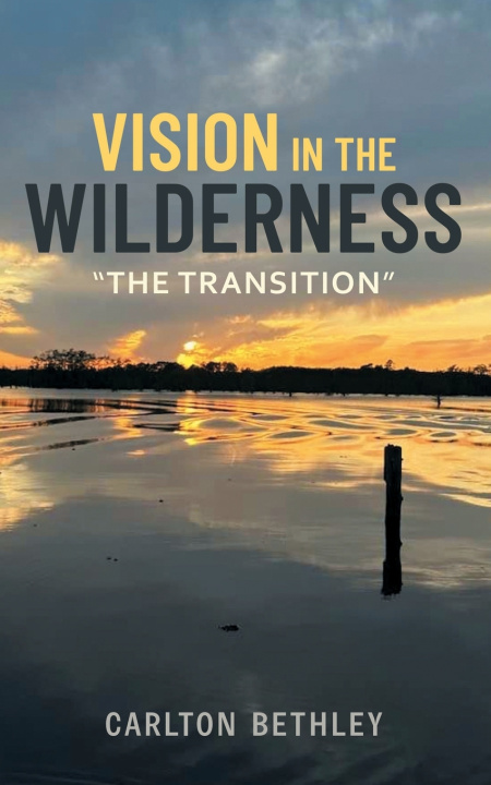 Książka Vision in The Wilderness "The Transition" Carlton Bethley