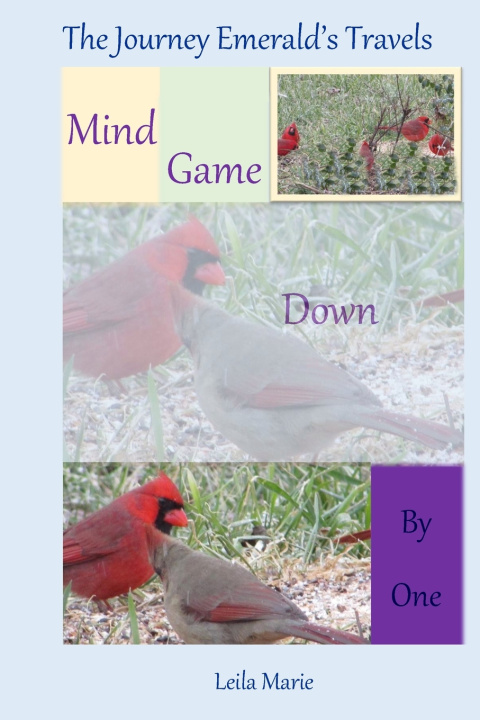 Kniha Mind Game Down By One Leila Marie