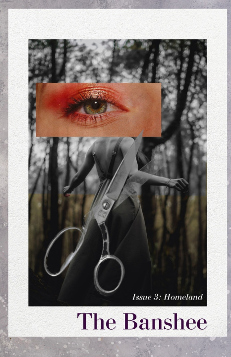 Książka The Banshee Issue 3 Sophie Duncan