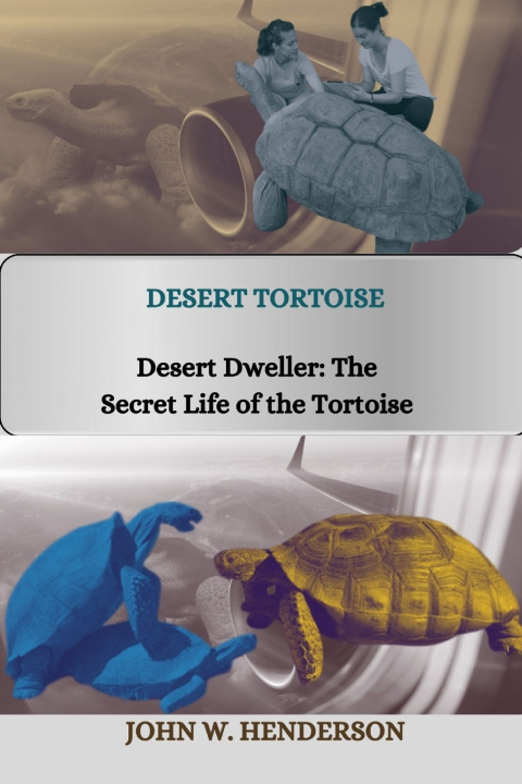 Kniha DESERT TORTOISE JOHN RAPHAEL