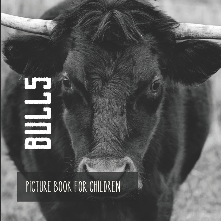 Kniha Bulls Rachelle Romero
