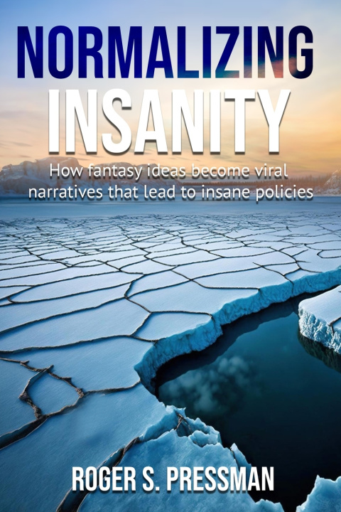 Knjiga Normalizing Insanity Roger S. Pressman Ph.D.